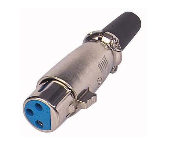Powermaster Canon Dişi Jack Fiş